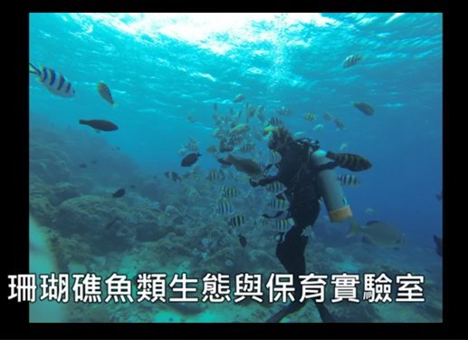 生科系 生態組