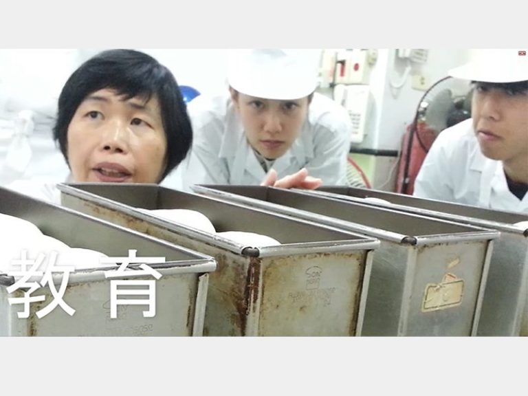 食科系